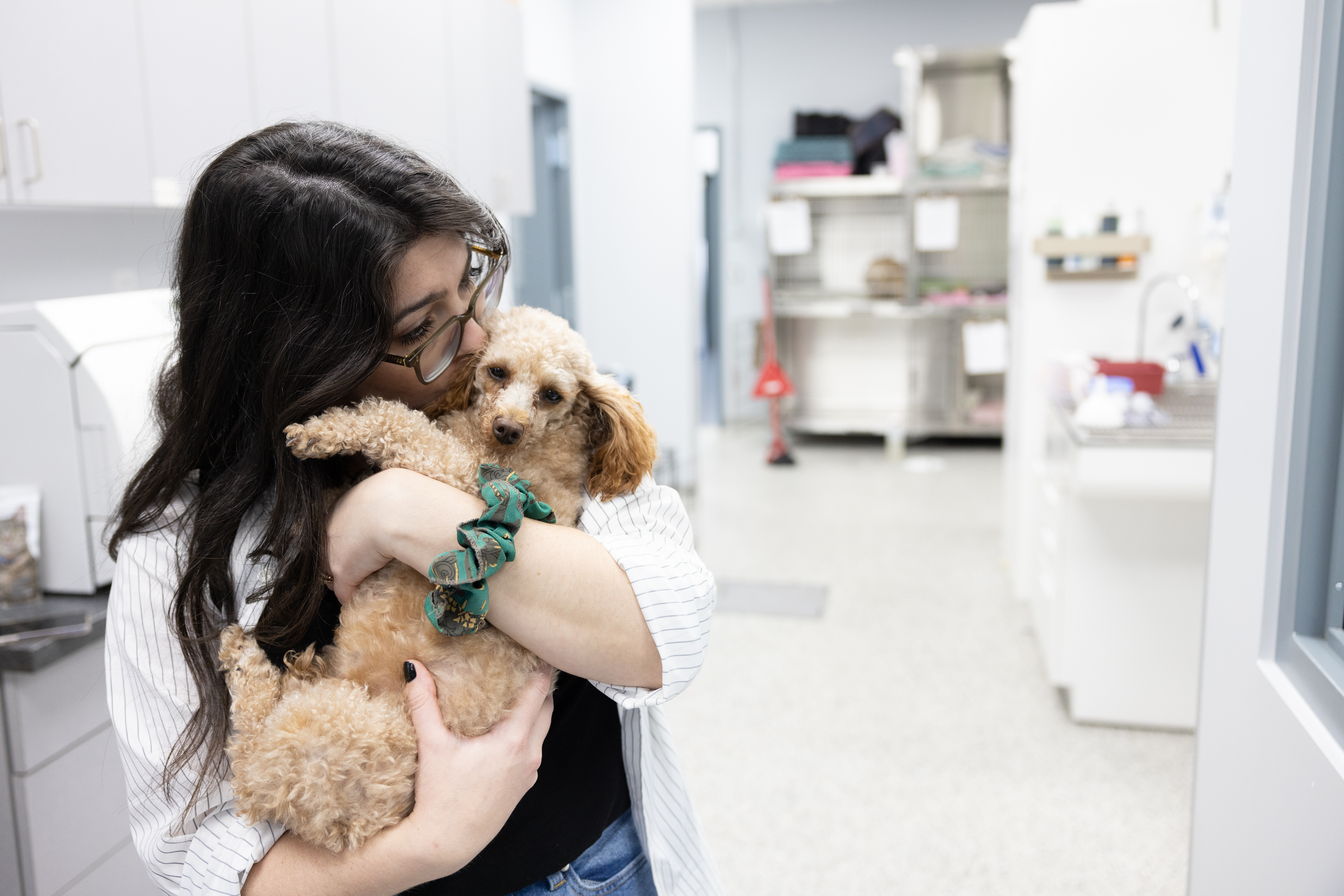 Staff member kissing small brown dog