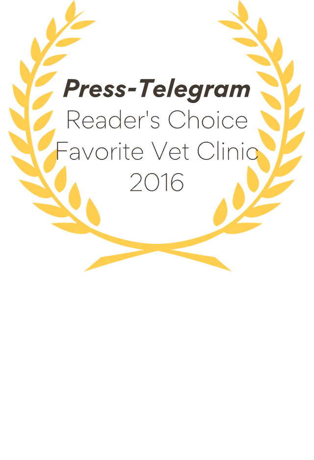 2016 Press-Telegram Reader's Choice Favorite Vet Clinic Award