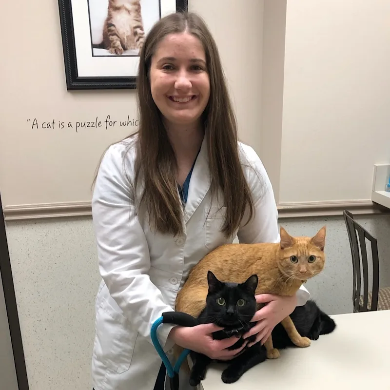 Rachel Cummins Rachel Cummins