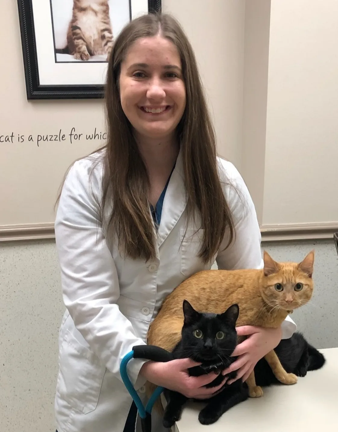 Rachel Cummins Rachel Cummins