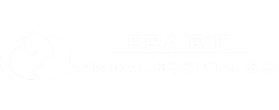 Prairie Animal Hospital Logo Prairie Animal Hospital Logo