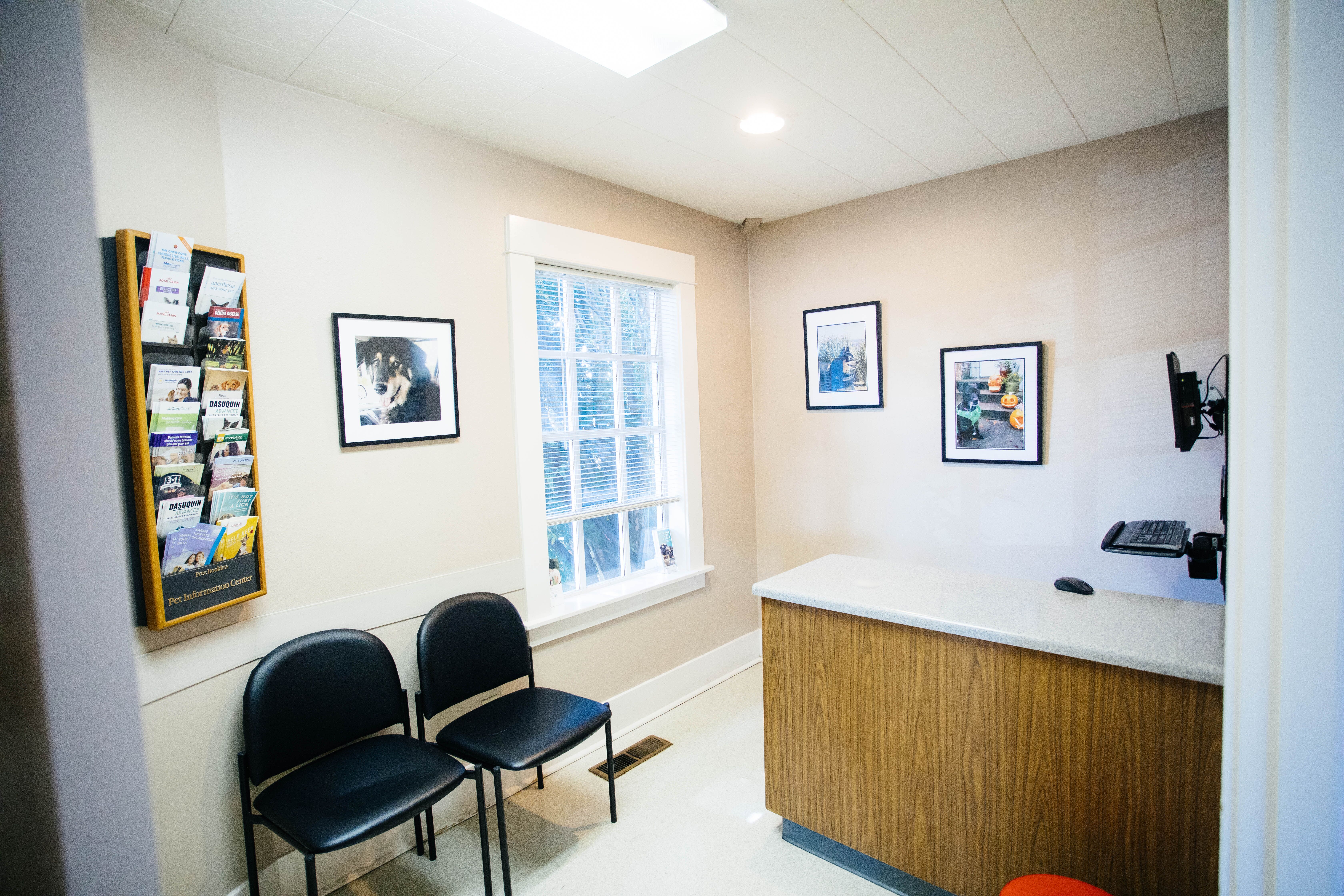 Examination Room at North End Pet Hospital