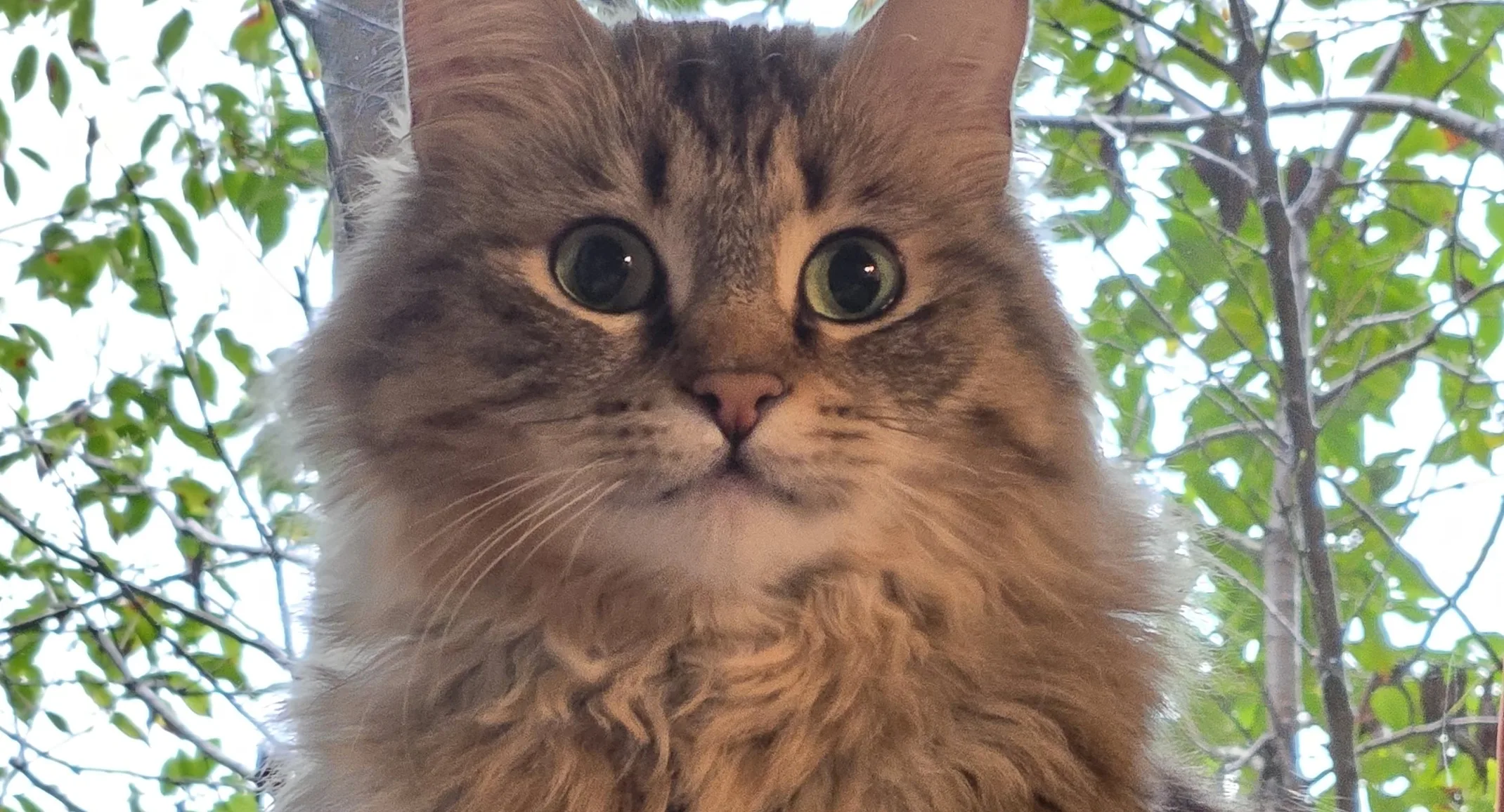 July Case Study - Fern July Case Study - Fern