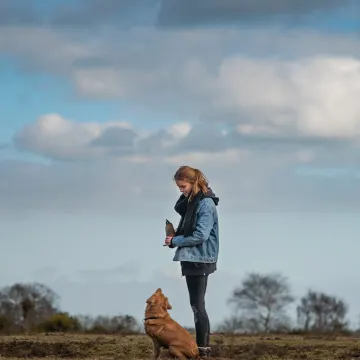 Dog sitting looking at woman in a field