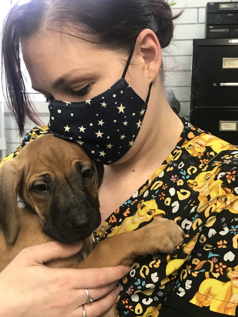 Woman with a brown and tan puppy