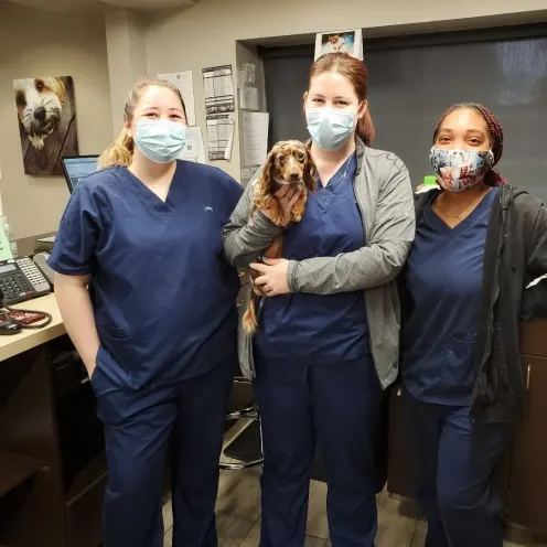 Three Glen Ellyn staff members standing at the front desk, with the center staff member holding a dog Three Glen Ellyn staff members standing at the front desk, with the center staff member holding a dog