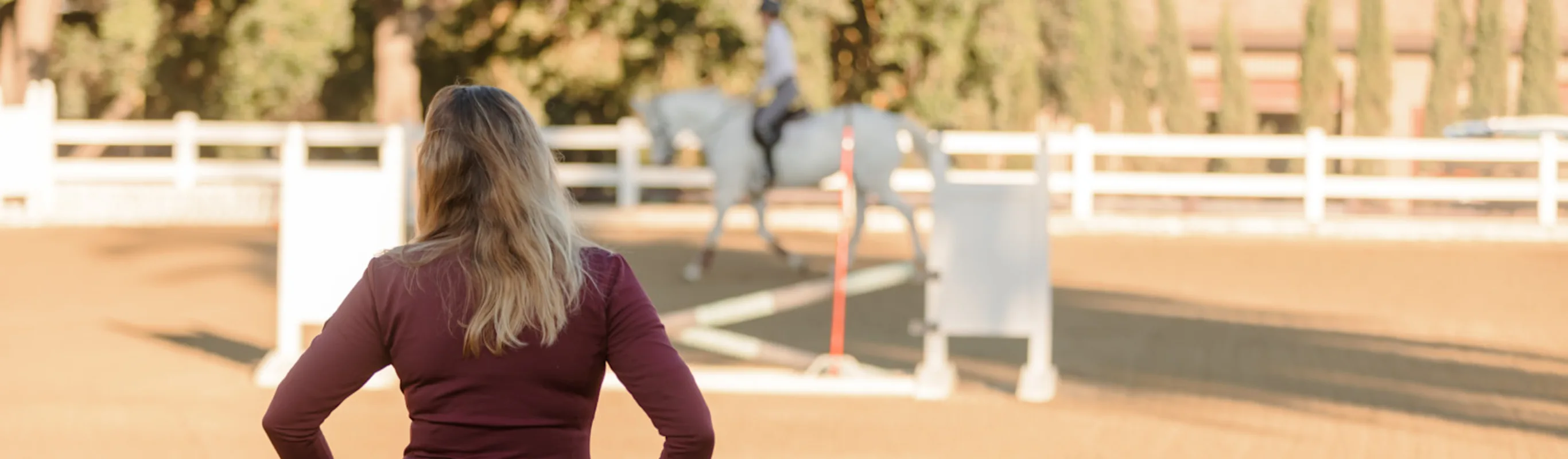 Veterinarian watching client ride horse Veterinarian watching client ride horse
