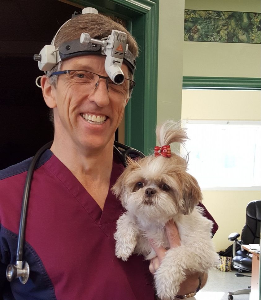 Dr. Dave Heaton holding a white dog at Three Islands Veterinary Services