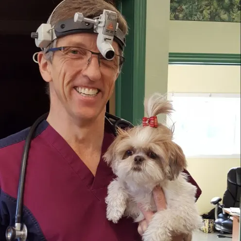 Dr. Dave Heaton holding a white dog at Three Islands Veterinary Services