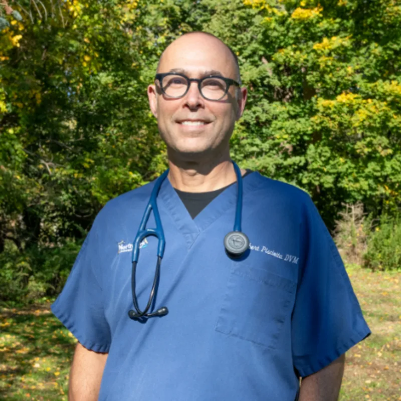 Robert Pisciotta Robert Pisciotta