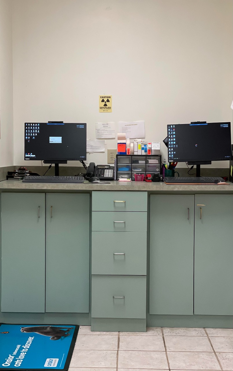 Nurse Station at Cat Clinic of Greensboro