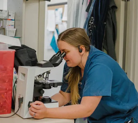 Coronado staff looking through a microscope. Coronado staff looking through a microscope.