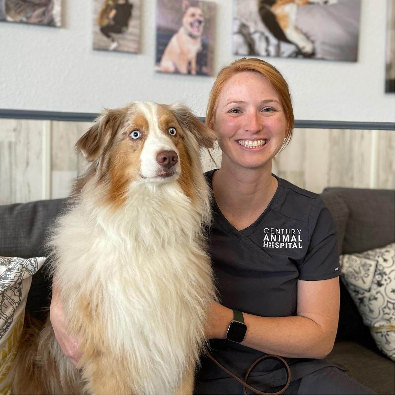 Kaila Century Animal Hospital