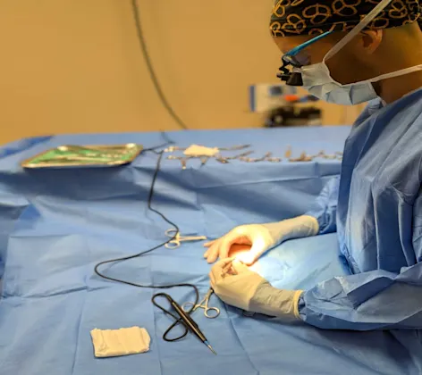 Soft Tissue Surgery Service Card Photo Soft Tissue Surgery Service Card Photo