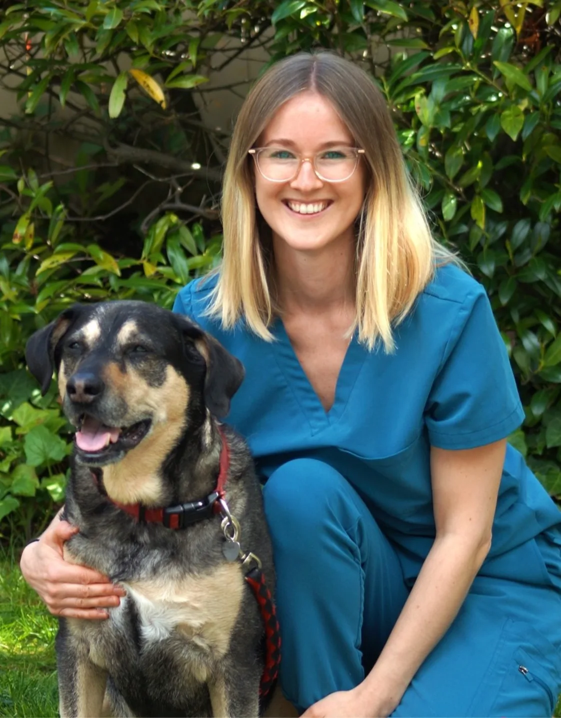 Dr. Amy Harrington Dr. Amy Harrington