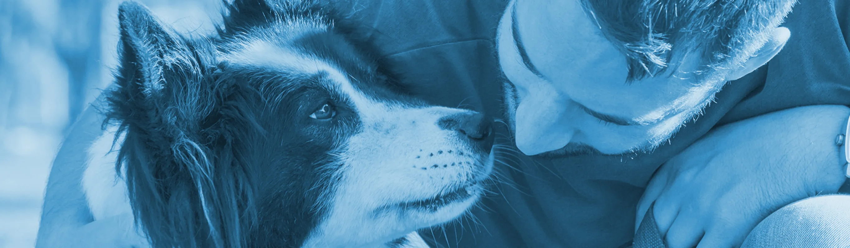 A man kneeling and hugging a black and white dog outside A man kneeling and hugging a black and white dog outside