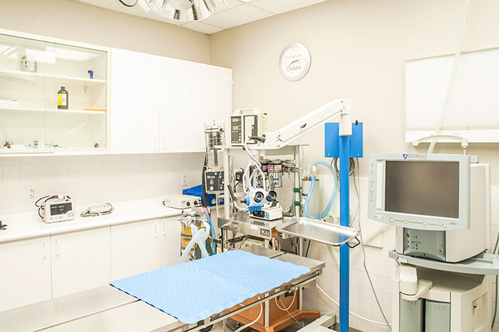 Vet Surgery Suite