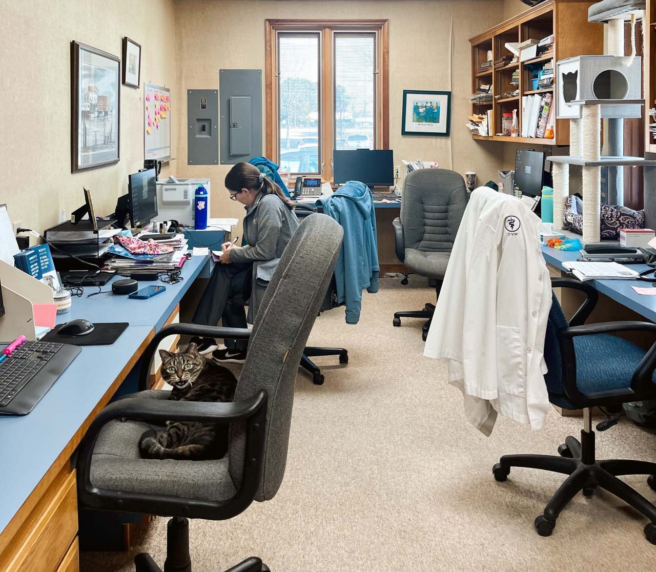 Doctor's office at Eastern Shore Animal Hospital.