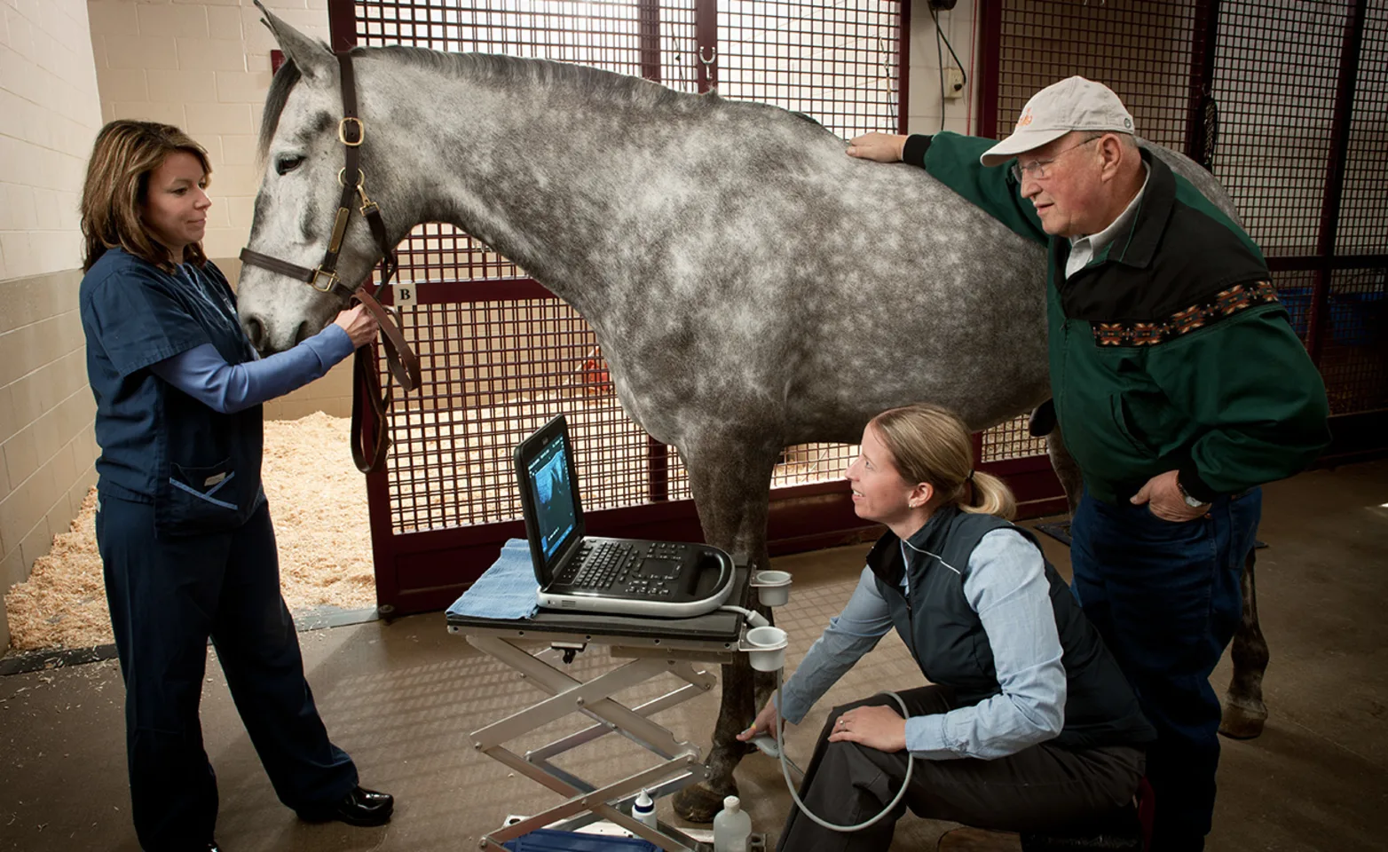 Horse at Wisconsin Equine Clinic getting a digital ultrasound. Horse at Wisconsin Equine Clinic getting a digital ultrasound.