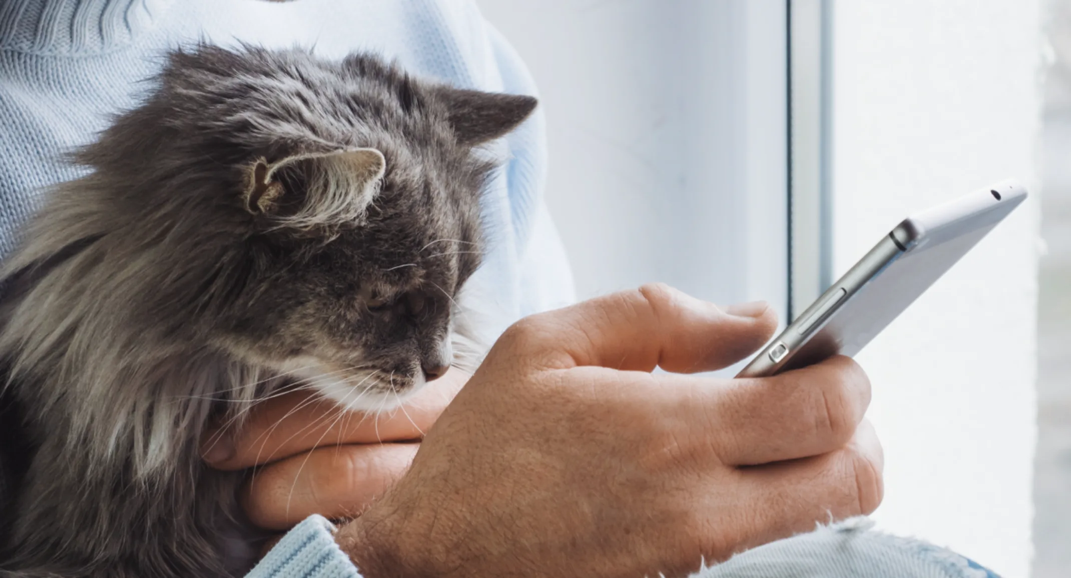 A man holding a phone and his cat A man holding a phone and his cat