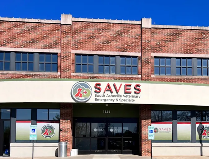 South Asheville Veterinary Emergency and Specialty Exterior South Asheville Veterinary Emergency and Specialty Exterior