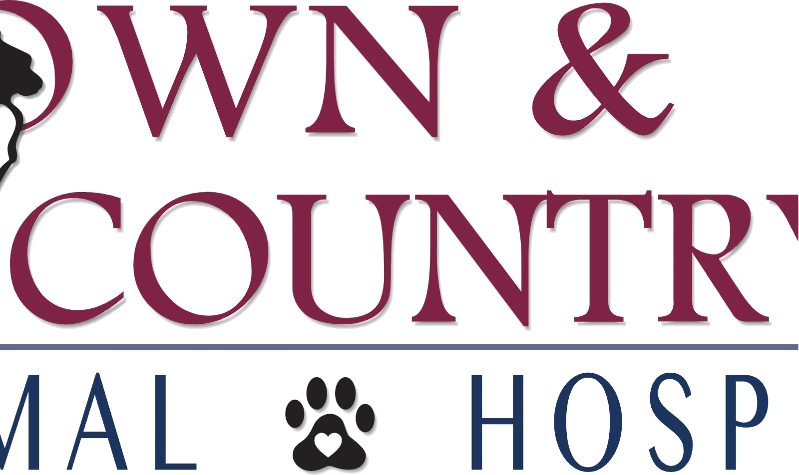 Town and Country Animal Hospital in Ocala Florida logo