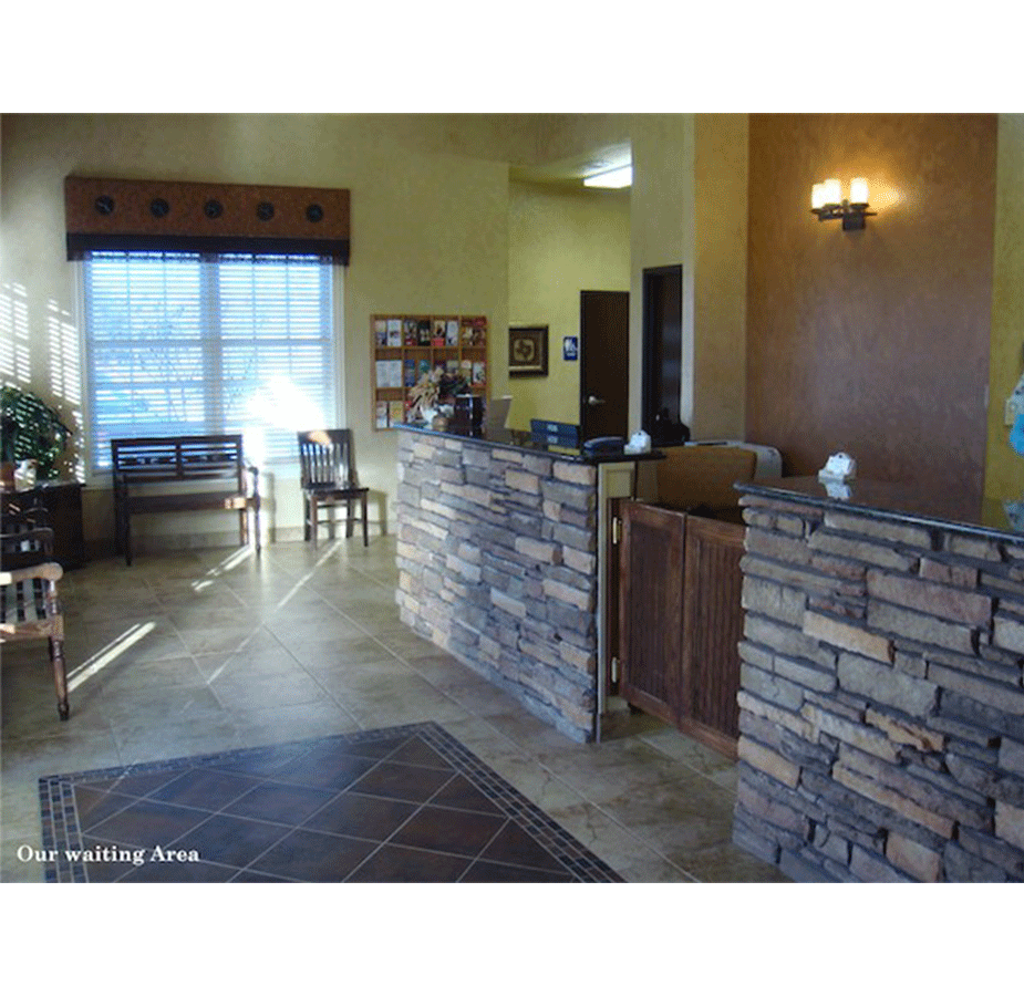 Southlake Crossing Animal Clinic Waiting Room