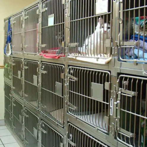 Tiny Animal Cat Ward Cages of Animals Tiny Animal Cat Ward Cages of Animals