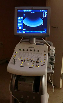 Seven Bends Veterinary Hospital Ultrasound