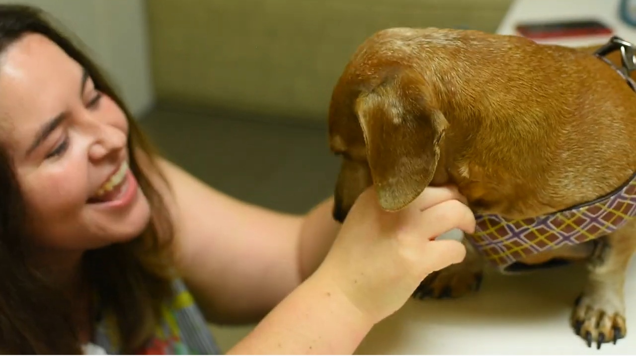 Woman laughing at small dog.