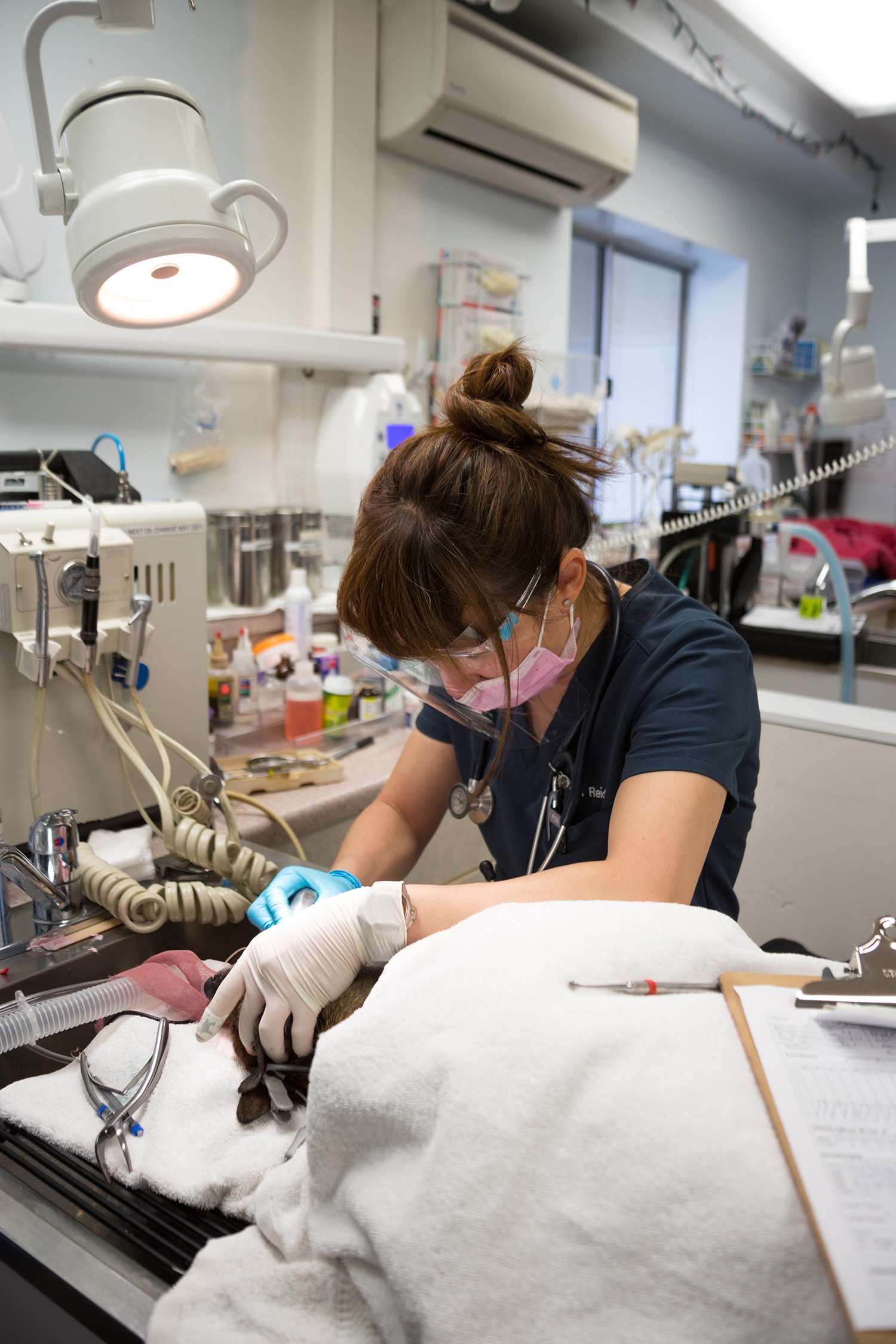 Reid performing a dental procedure.
