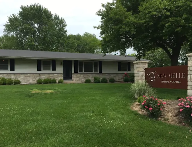 New Melle Animal Hospital Exterior New Melle Animal Hospital Exterior