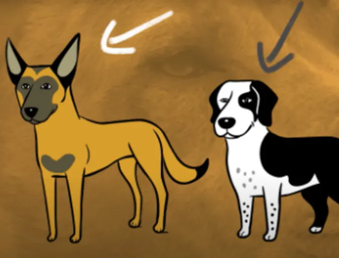 Two cartoon dogs Two cartoon dogs