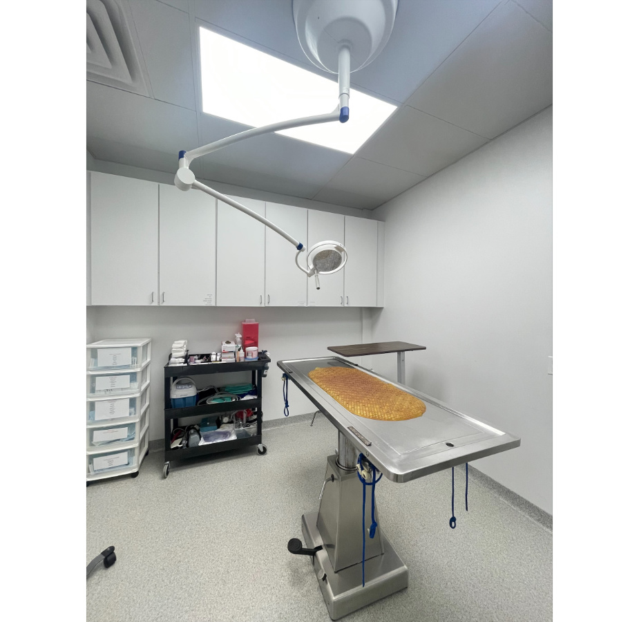 Burnham Park Animal Hospital's Surgery Room