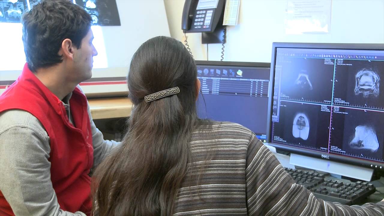 Digital Ultrasound Video