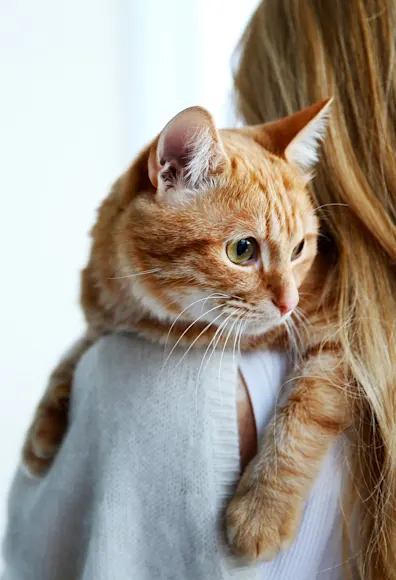 Woman holding a cat Woman holding a cat