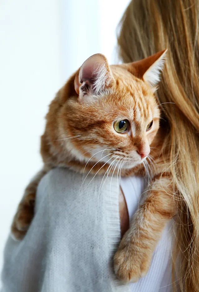 Woman holding a cat Woman holding a cat