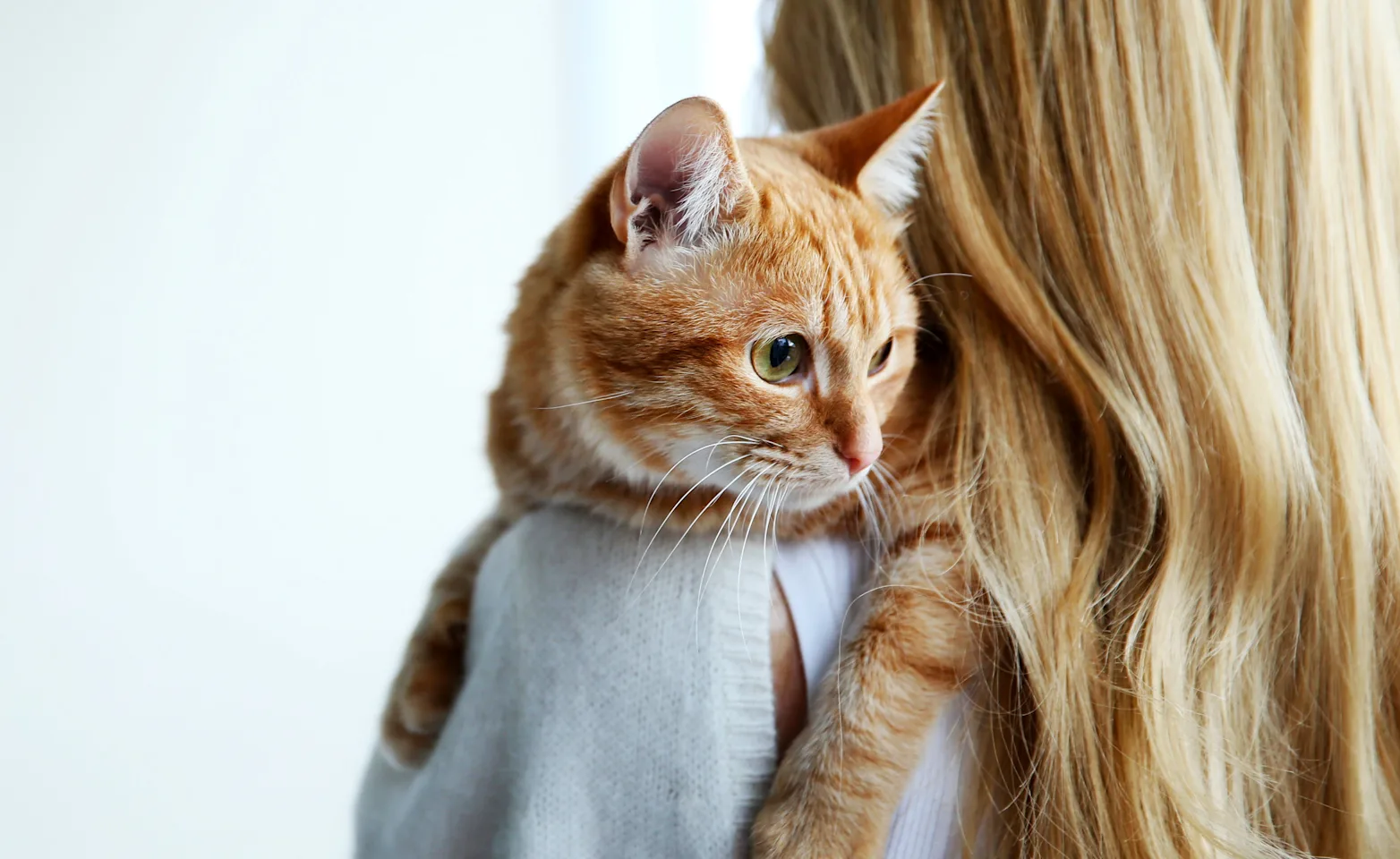 Woman holding a cat