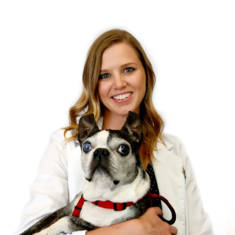 Dr. Emily Gregson Dr. Emily Gregson