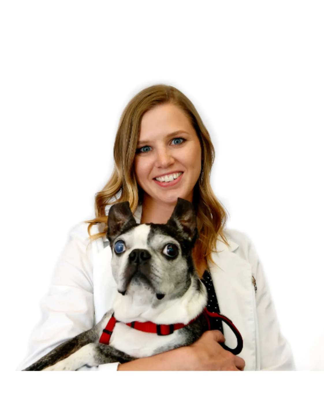 Dr. Emily Gregson Dr. Emily Gregson