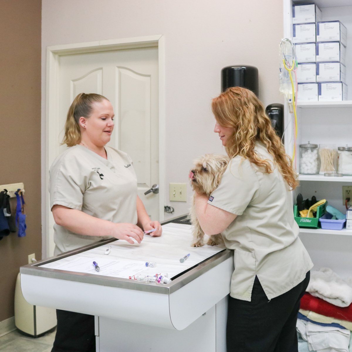 Staff with dog on table at Brentwood Family Pet Care