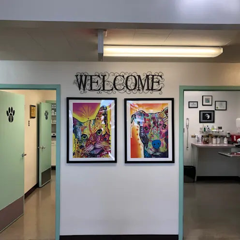 Manzano Animal Clinic Welcome Manzano Animal Clinic Welcome