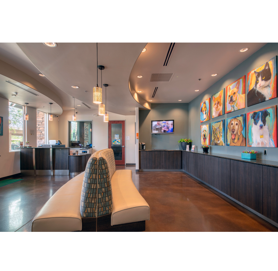 Lobby at VetMed Emergency & Specialty Veterinary Hospital