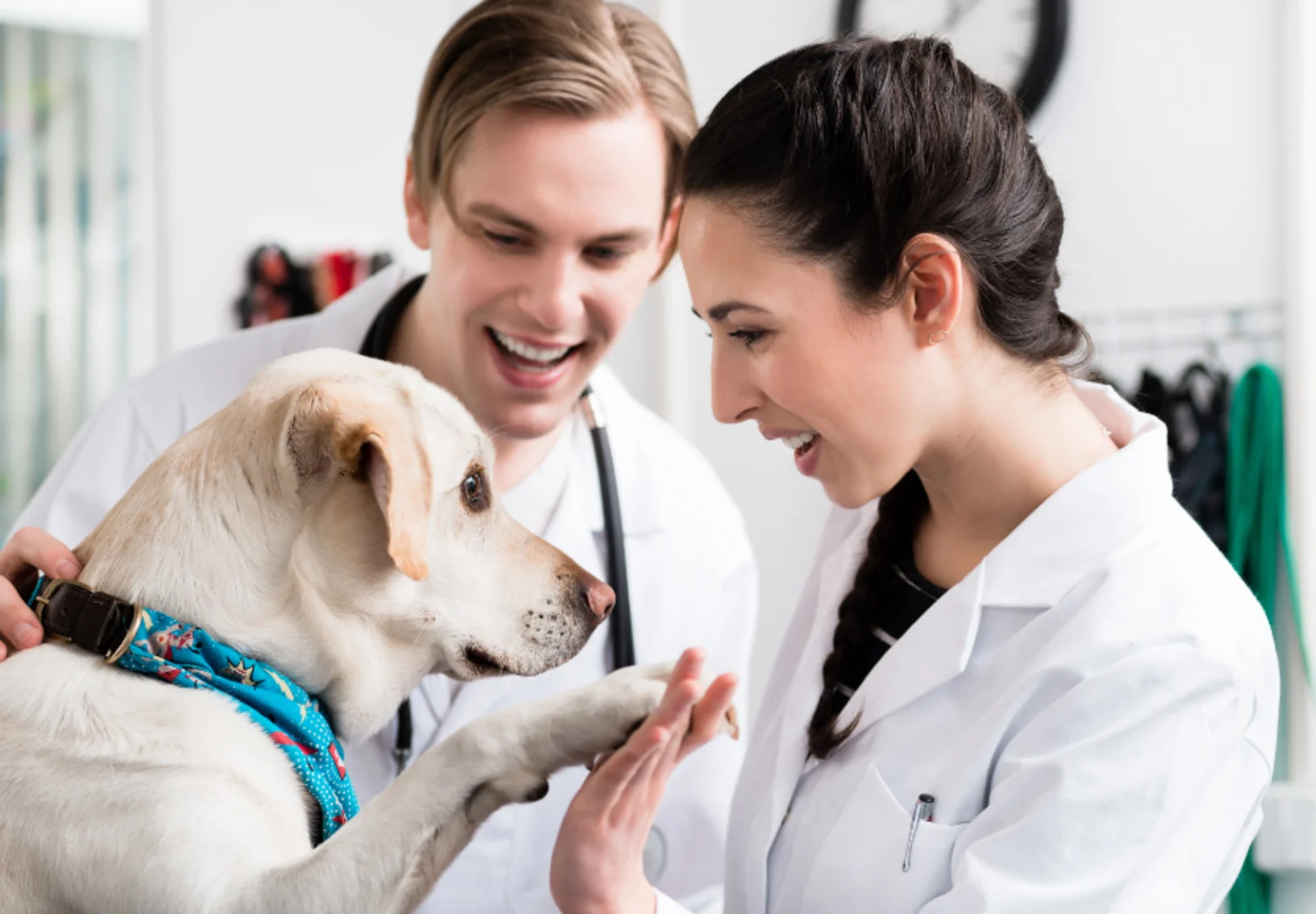 Veterinarians with a Golden Retriever