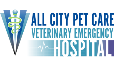 All City Pet Care Veterinary Emergency Hospital-HeaderLogo