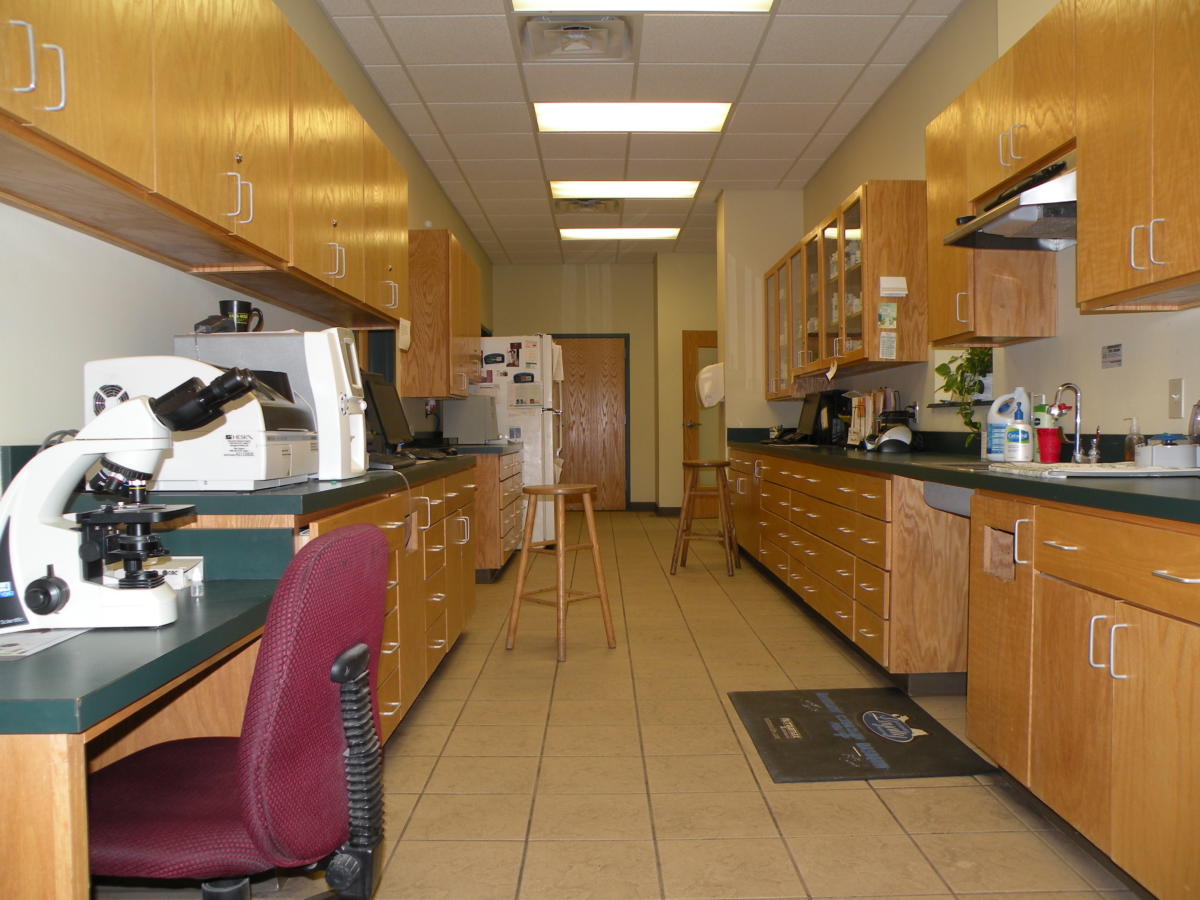 Lab Room at Southside Animal Hospital