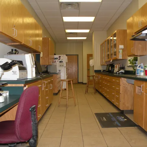 Lab Room at Southside Animal Hospital