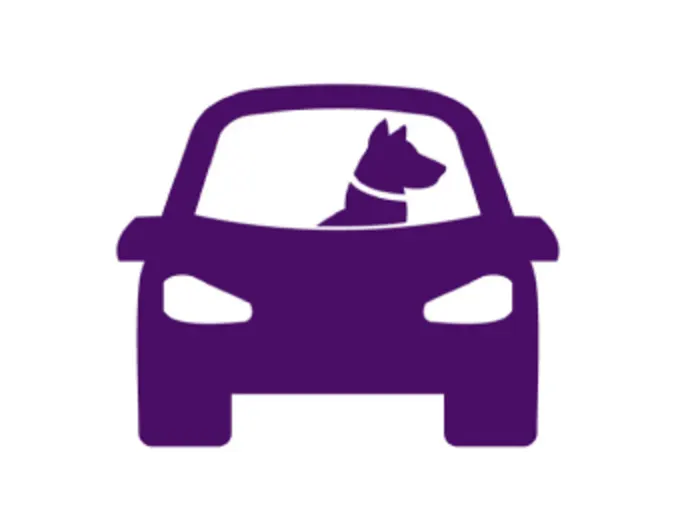 animated car with a dog inside