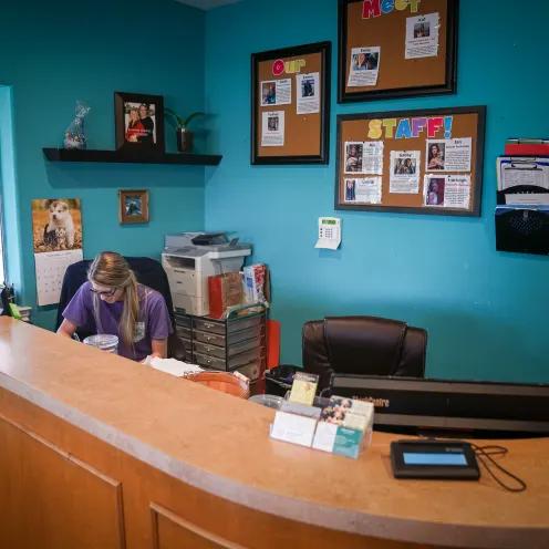 a staff member sits behind the reception desk at Great Oaks Animal Hospital