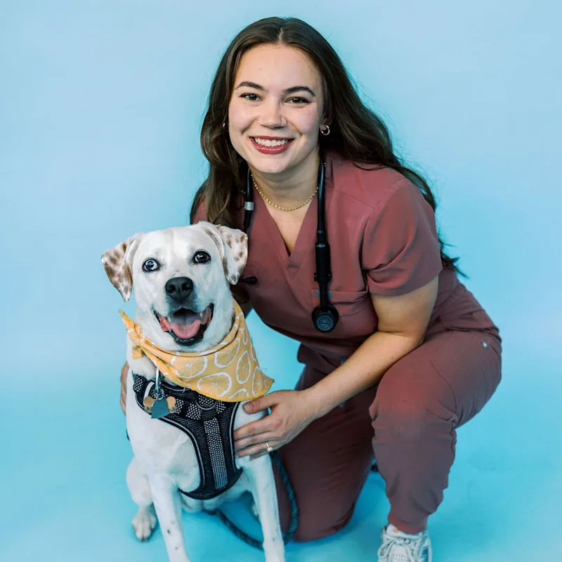 Dr. Meghann Andersson Dr. Meghann Andersson